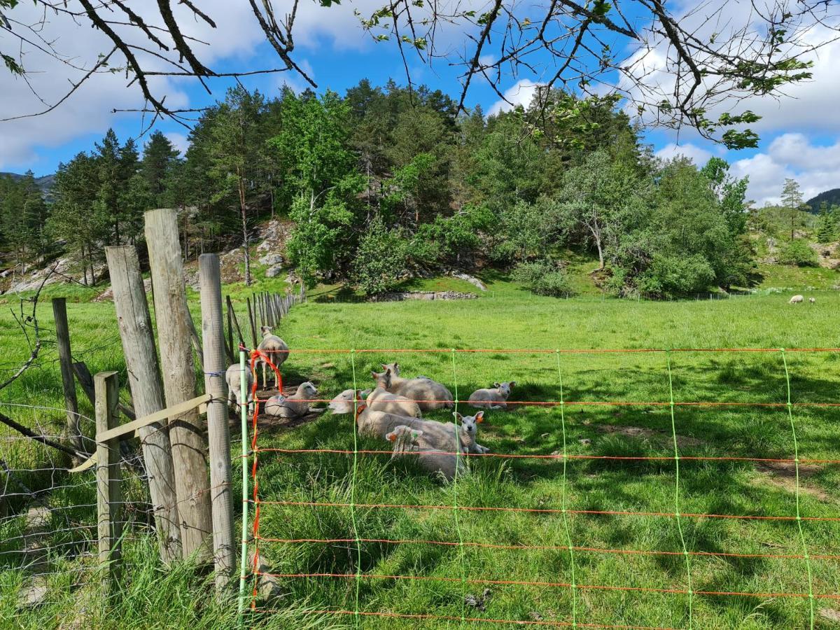 Willa Hygge Pa Fjellet Øyuvstad Zewnętrze zdjęcie