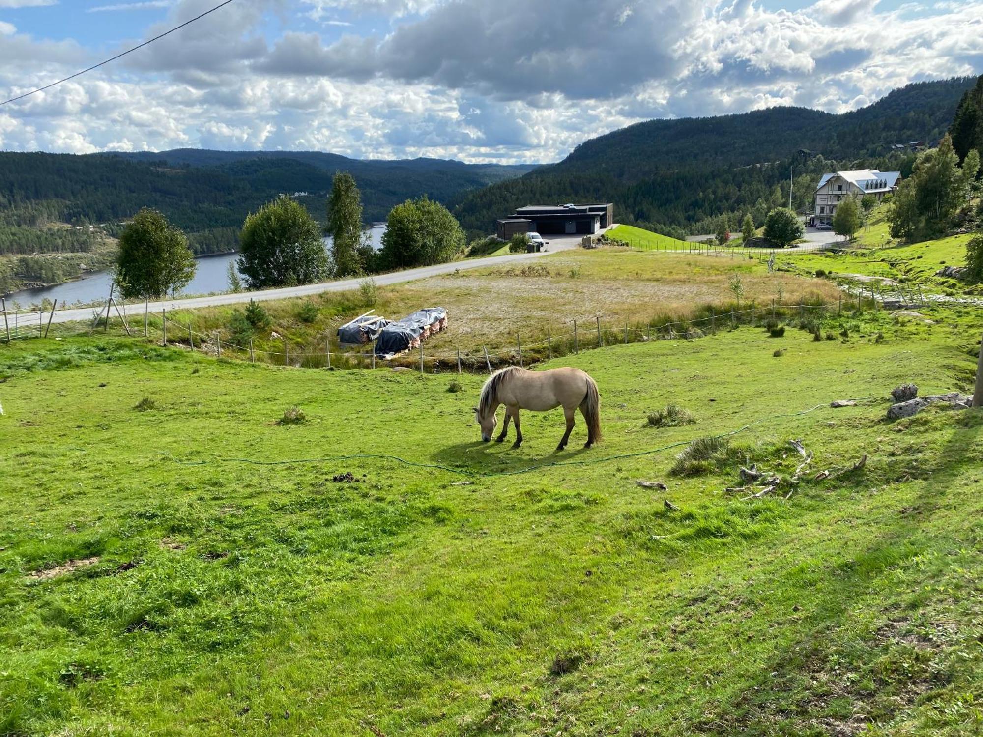 Willa Hygge Pa Fjellet Øyuvstad Zewnętrze zdjęcie